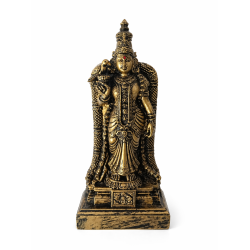 Goddess Meenakshi Amman Antique Finish
